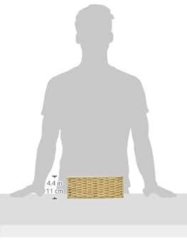 chi様 完成品バスケット ペーパーバスケット ちどり産業 【通販モノタロウ】